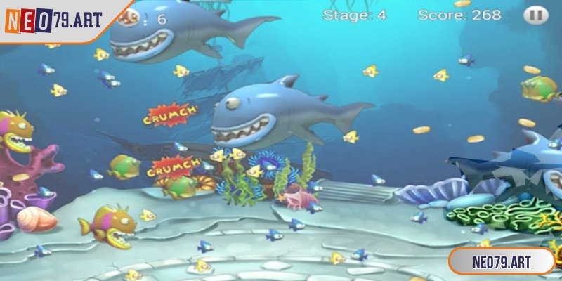 Cần hiểu rõ thời điểm cá xuất hiện để hạ thành công ngay