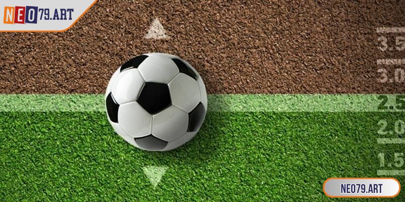 Điều kiện thời tiết và sân bãi luôn là yếu tố cực quan trọng